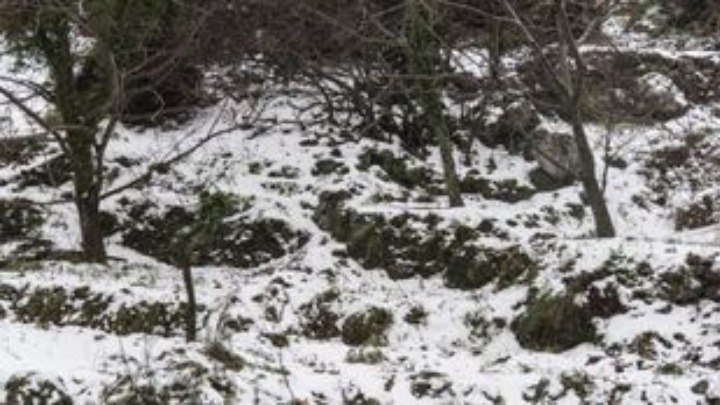Τρίκαλα: Χιονίζει στα ορεινά