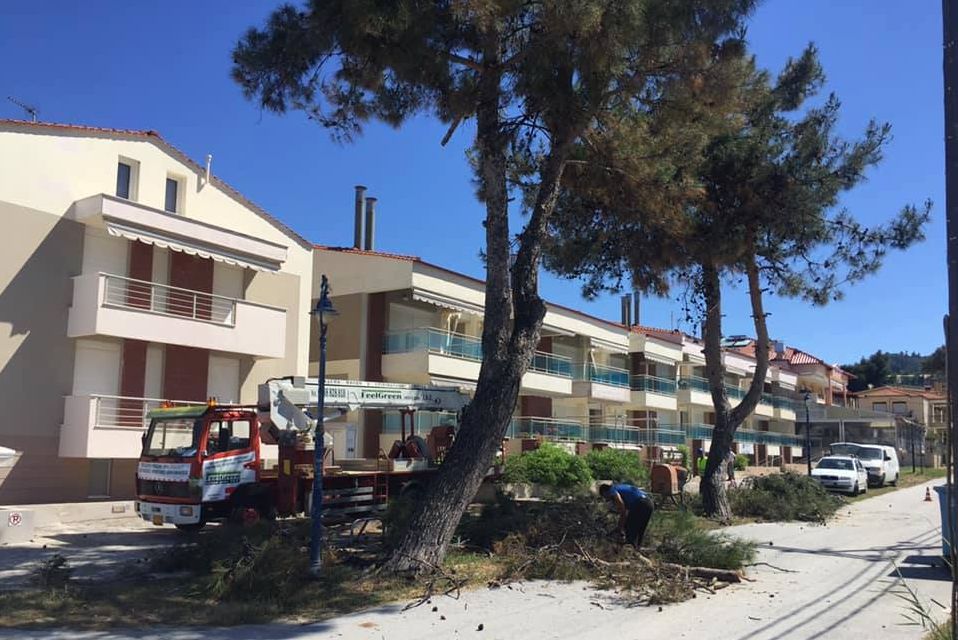 Χαλκιδική: Το Πολύχρονο αλλάζει όψη