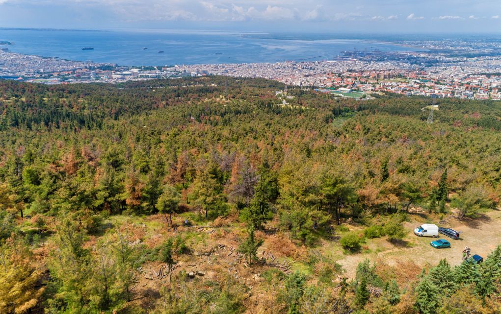 Θεσσαλονίκη: Ελεύθερη η πρόσβαση σε Σέιχ Σου και δάσος Χορτιάτη