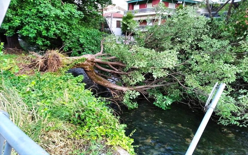 Πέλλα: Πτώσεις δέντρων στην πόλη των καταρρακτών