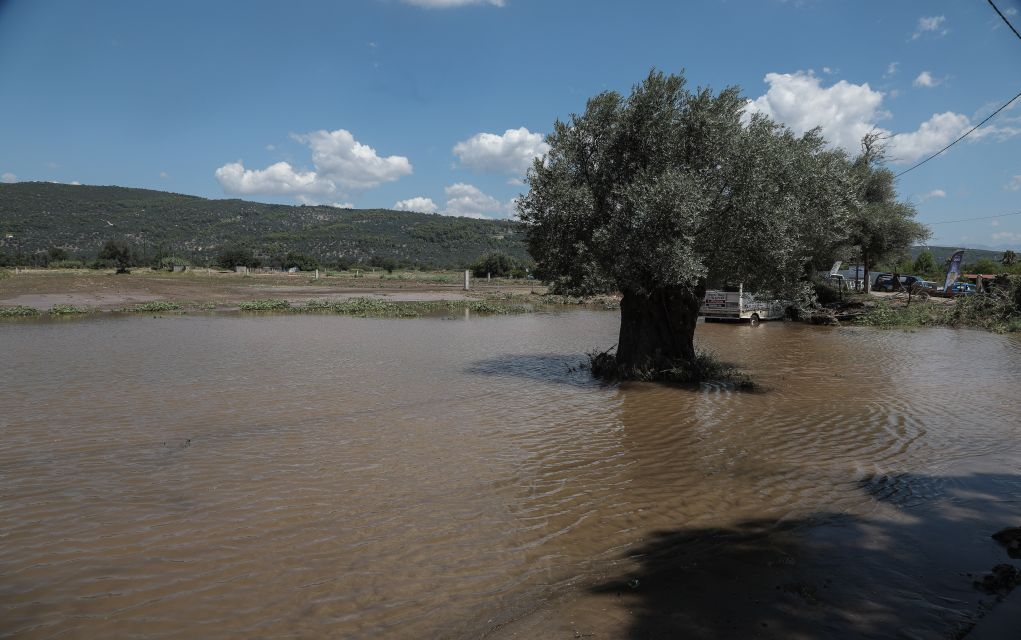 Οι μετεωρολόγοι «αδειάζουν» τον Χαρδαλιά