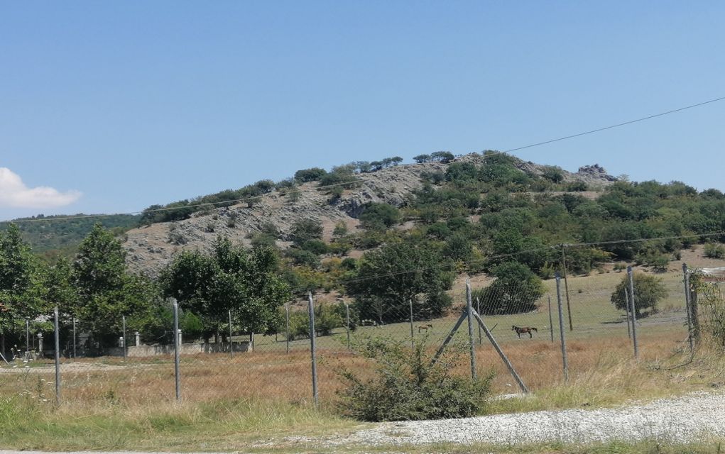 Νέα Ζωή Σκύδρας: Λύκος σκότωσε άλογο λίγα μέτρα πίσω από καφενείο
