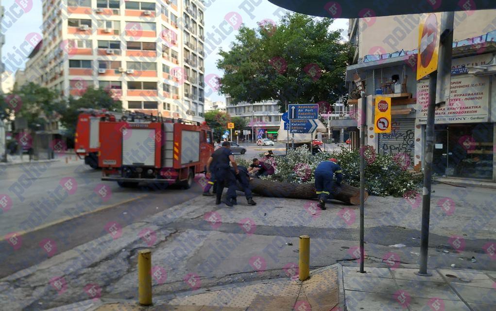 Θεσσαλονίκη: Έπεσε κορμός δέντρου στην οδό Δωδεκανήσου (pics)