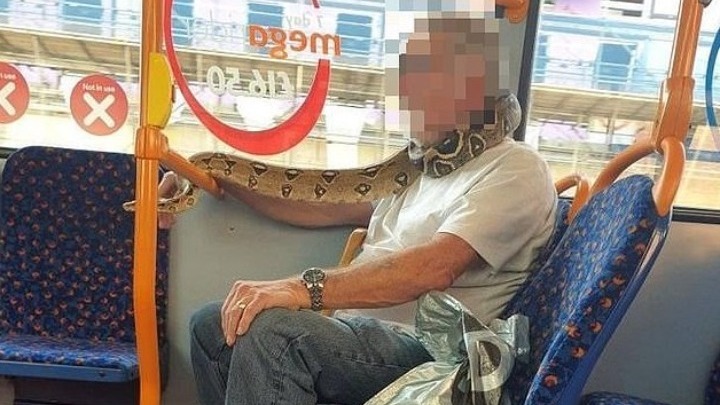 Βρετανία-Covid-19: Ένα ερπετό δεν μπορεί να χρησιμοποιείται ως… μάσκα, επισημαίνουν οι αρχές