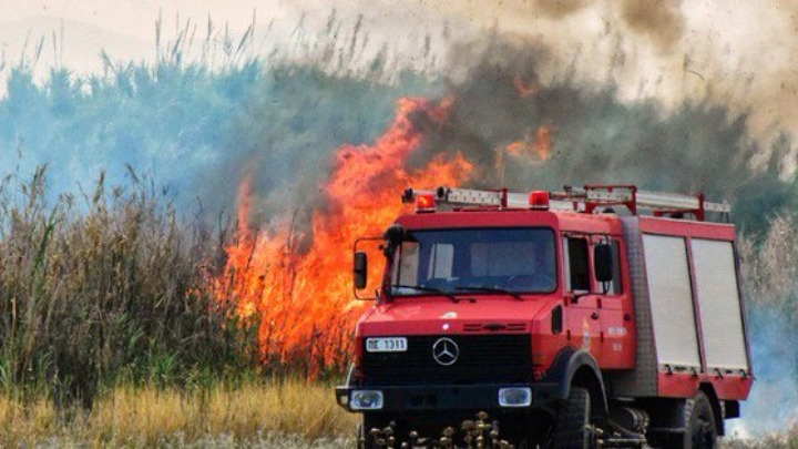 Πυρκαγιά σε δασική έκταση στο Δίστομο Βοιωτίας