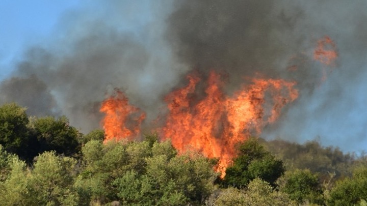 Σε εξέλιξη φωτιά στη περιοχή Ναρθάκι του δήμου Φαρσάλων