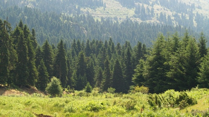 «Ταξίδι» στους μοναδικούς βιότοπους των Τρικάλων
