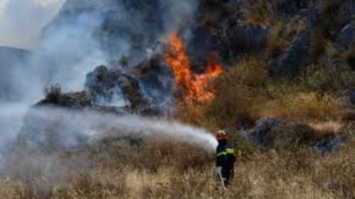Υπό μερικό έλεγχο η φωτιά στην περιοχή Κολοκυθάς στην Ηλεία