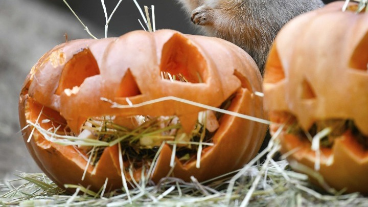Covid-19: Απαγορεύτηκαν οι εορτασμοί για το Halloween σε περιοχές της Αγγλίας