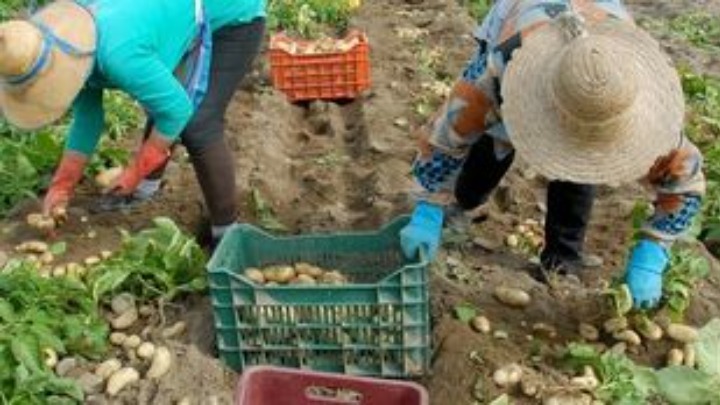 Πιστώνεται την Τετάρτη το 70% της Βασικής Ενίσχυσης σε 540.000 αγρότες