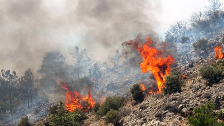 Πυρκαγιά σε δασική έκταση στη Λευκίμη Σουφλίου