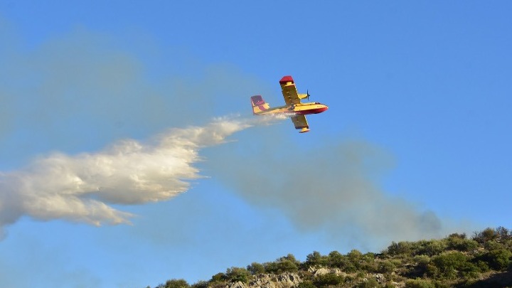 Πυρκαγιά σε δασική έκταση στη Λευκίμη του Δήμου Σουφλίου