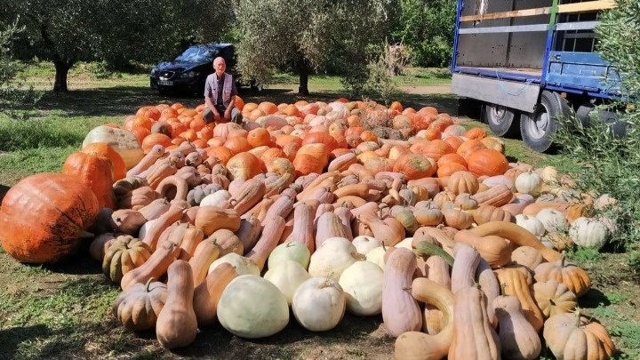 Το Halloween «μετακομίζει» τις κολοκύθες από την κουζίνα, στο σαλόνι και τις βιτρίνες
