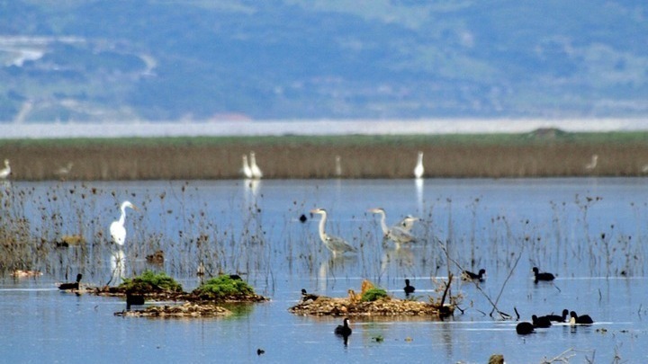 Σέρρες: Απαγόρευση του ψαρέματος στη λίμνη Κερκίνη