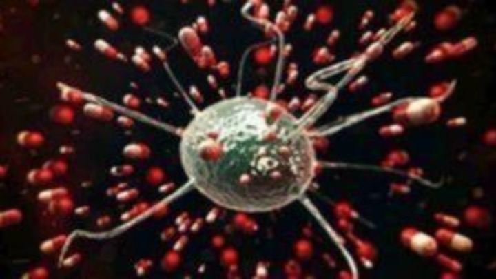 Η μετάλλαξη D614G έχει κάνει δέκα φορές ταχύτερη την αναπαραγωγή του κορονοϊού και ευκολότερη τη μετάδοσή του