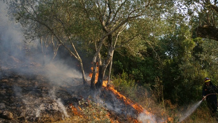 Πυρκαγιά σε δασική έκταση στα Μέγαρα Αττικής