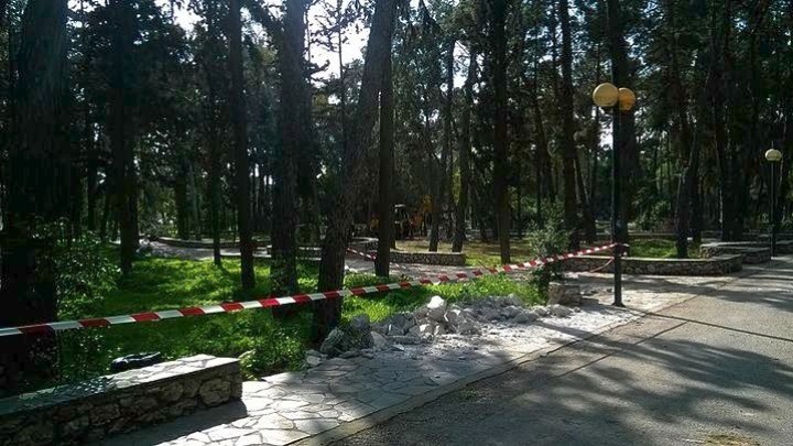 Σύντομα λύση για το άλσος της Νέας Φιλαδέλφειας