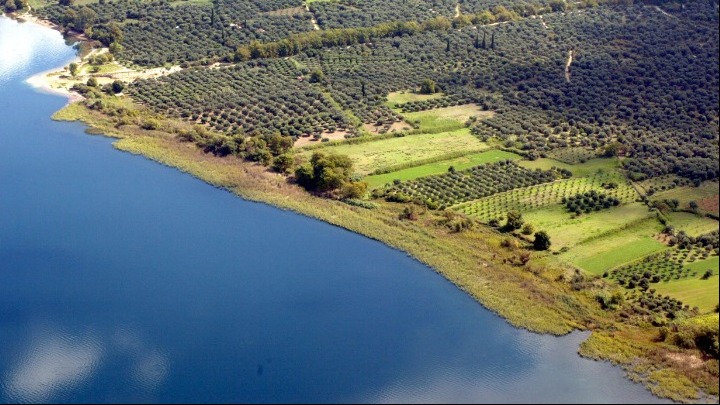 Κίνδυνοι και απειλές για τον προστατευόμενο οικότοπο της λίμνης Τριχωνίδας