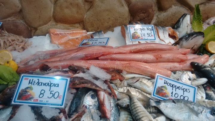 «Fish stories» από το ΙΝΑΛΕ για τους καρχαρίες, τους κέφαλους και τα χέλια