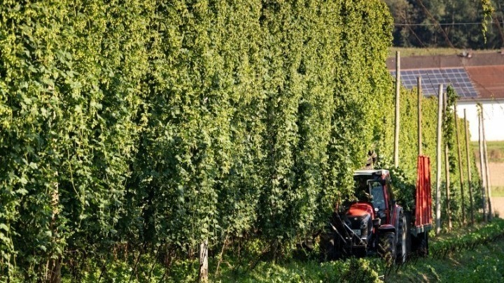 Hλεκτρονικός οδηγός ψηφιακού μετασχηματισμού για αγροδιατροφικές επιχειρήσεις