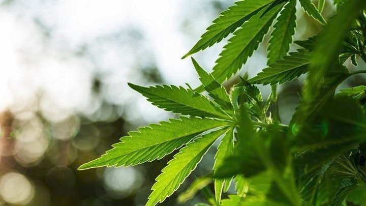 Νέες συλλήψεις για κατοχή και διακίνηση ναρκωτικών ουσιών