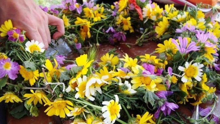 Τα φυτά στο σπίτι βελτιώνουν την ψυχική υγεία στη διάρκεια του lockdown