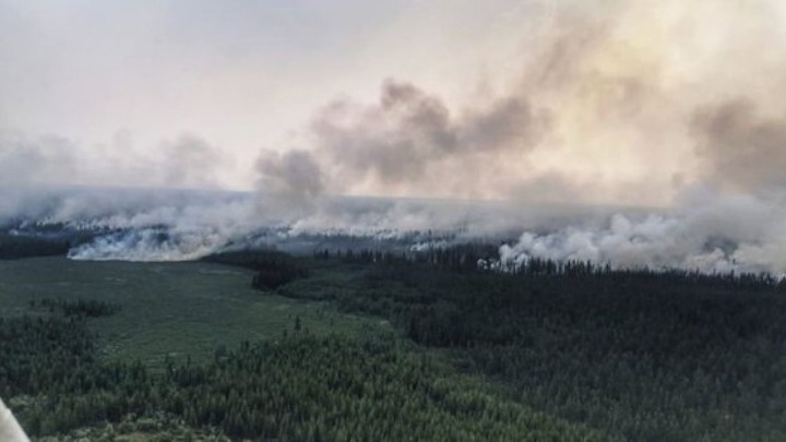 WWF: Χάθηκαν 430 εκατομμύρια στρέμματα δασών στα κύρια «μέτωπα»
