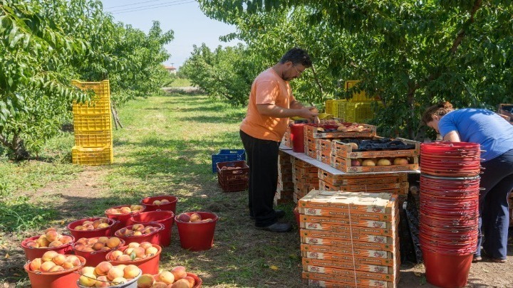 Αύξηση 20,7% των ελληνικών εξαγωγών τον Ιούλιο – Αύξηση ωστόσο και του εμπορικού ελλείμματος