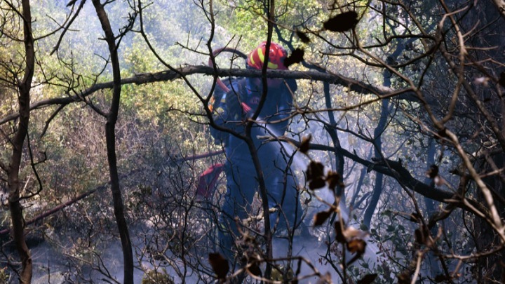Περιβαλλοντική καταστροφή – Η πυρκαγιά στα Γεράνεια Όρη έκαψε 52.000 στρέμματα δάσους