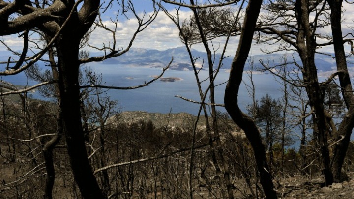 71.300 στρέμματα έκαψε η μεγάλη πυρκαγιά σε Κορινθία και Αττική