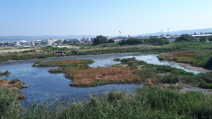Δήμος Δέλτα: Στάσιμα νερά και πεταμένα λάστιχα στην περιοχή των βυρσοδεψείων