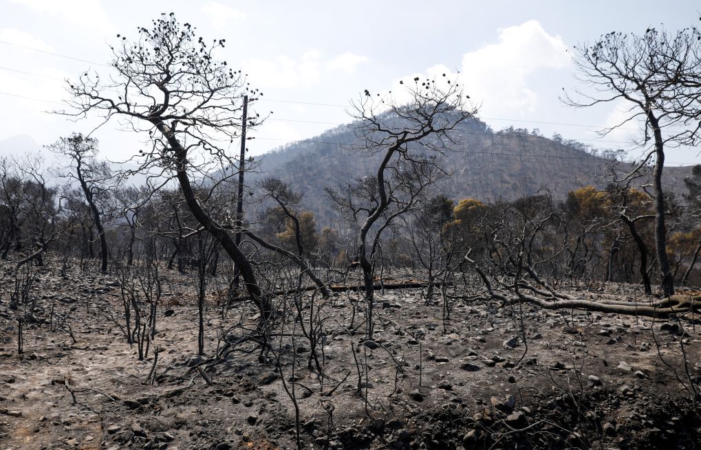 Επίσκεψη κυβερνητικού κλιμακίου την Κυριακή στο Αλεποχώρι, για αποτίμηση καταστροφών και αξιολόγηση μέτρων αποκατάστασης