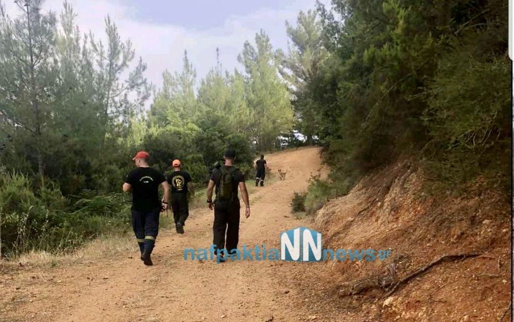 Ναύπακτος: Συνεχίζονται οι έρευνες για την εύρεση της 95χρονης αγνοούμενης – Μεγαλώνει η αγωνία