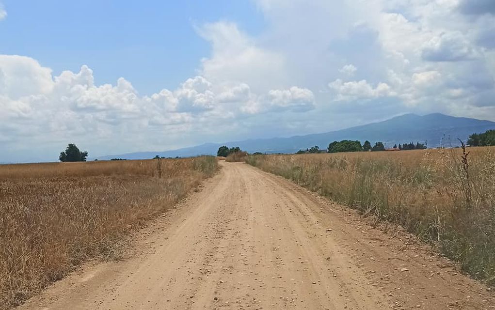 Δήμος Λαγκαδά: Ολοκλήρωση των έργων αγροτικής οδοποιΐας στην Κοινότητα Χρυσαυγής