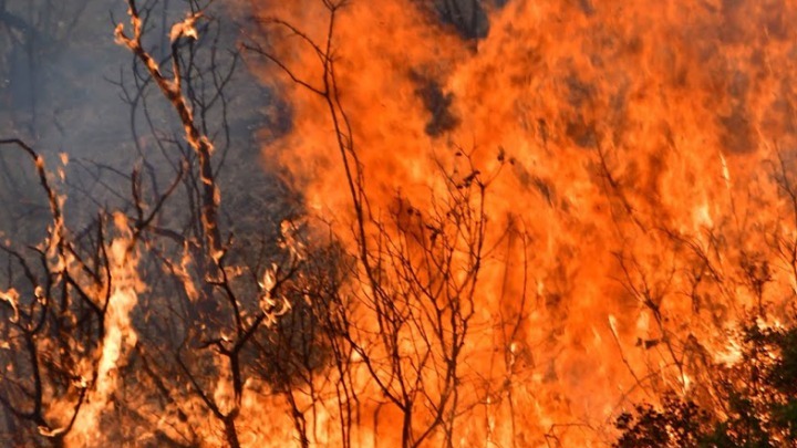 Αιτωλοακαρνανία: Σε εξέλιξη η φωτιά στο Ακτίου – Βόνιτσας