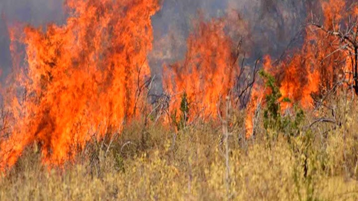 Βόλος: Φωτιά περιμετρικά της πόλης