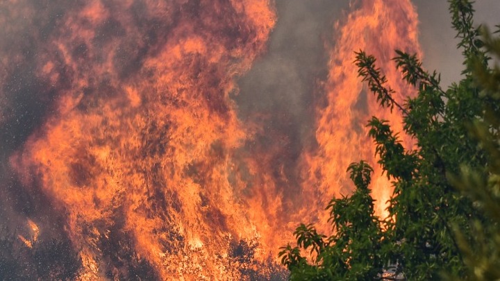 Ελλάδα: 45 δασικές πυρκαγιές εκδηλώθηκαν σήμερα