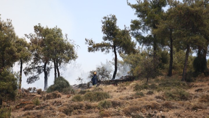 Πυρκαγιά-Σέιχ Σου: 90 στρέμματα δάσους έγιναν στάχτη – Οριοθετήθηκε η φωτιά