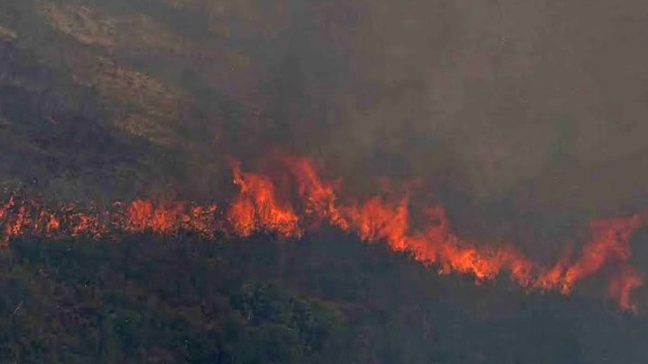 Οκτώ τραυματίες από τη φωτιά στην Αιγιάλεια