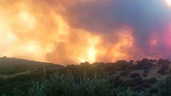 Πολύ υψηλός κίνδυνος πυρκαγιάς σήμερα – Έξι περιφέρειες σε επιφυλακή