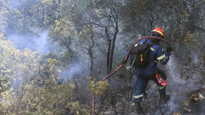 Ελλάδα: 42 δασικές πυρκαγιές σε όλη την Ελλάδα μέσα σε μια μέρα