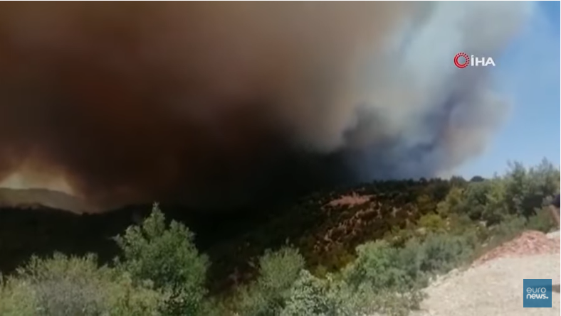 Η Τουρκία καίγεται: Μεγάλες πυρκαγιές σε Αττάλεια και Αδάνα – Σοκάρουν οι εικόνες (vids + pics)