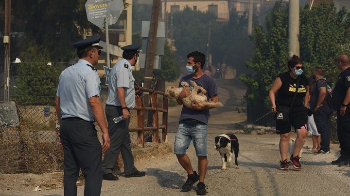 Πάτρα: Σε εξέλιξη η φωτιά στην περιοχή Δροσιά – Εκκενώθηκε η Πτέρη – επιφυλακή για Τριβογά και Χριστοπουλέικα