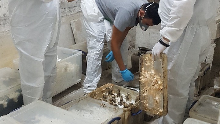Τατόι: Σπάνιοι θησαυροί στη κάβα του (εικόνες)