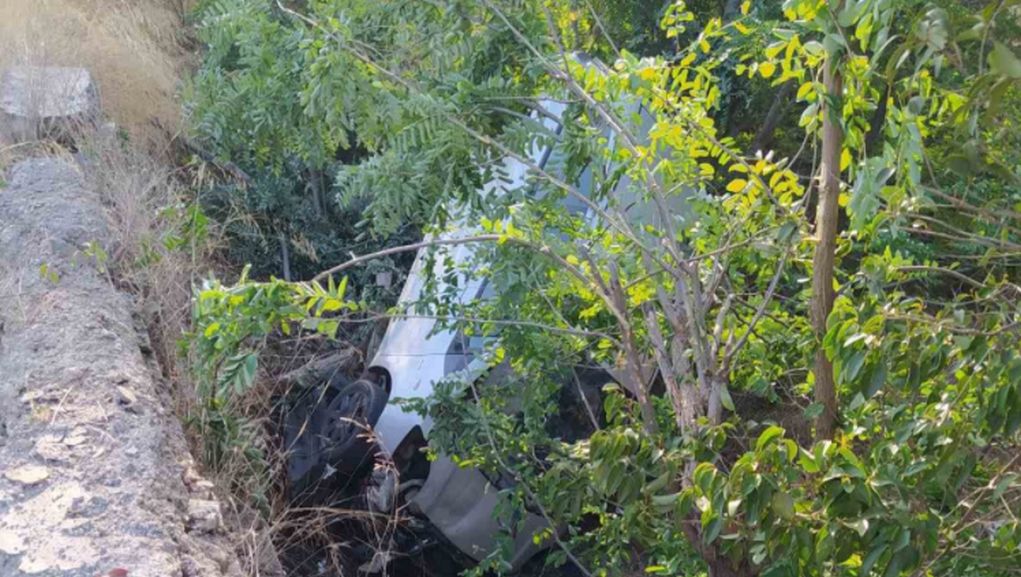 Στυλίδα: Έπεσε  από γέφυρα, καρφώθηκε σε δέντρο και βγήκε μόνη της από το ΙΧ… χωρίς γρατσουνιά (pics)