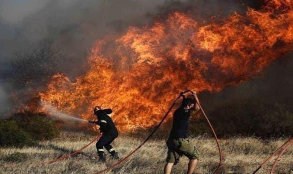 Πυρκαγιά στην Ανάβυσσο: Εκκενώθηκε ο οικισμός Καταφύγι – 40 πυροσβέστες και 6 εναέρια μέσα στο σημείο