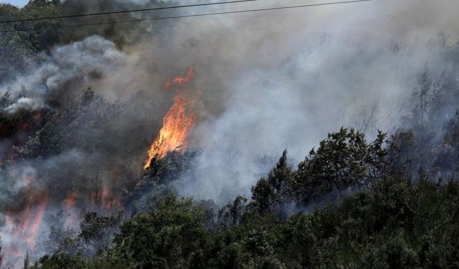 Στη “μάχη” για την κατάσβεση της φωτιάς στο Σέιχ-Σου, συνέβαλε ο Δήμος Κορδελιού-Ευόσμου