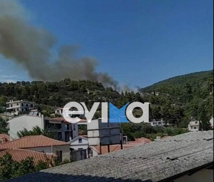 Πυρκαγιά σε δασική έκταση στη Λίμνη Ευβοίας