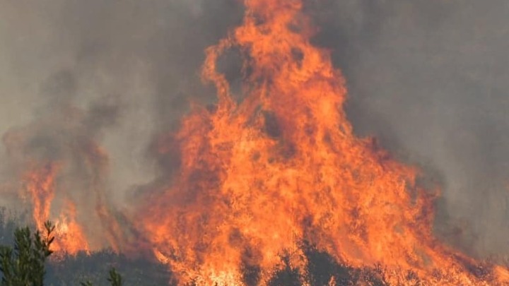 Σε εξέλιξη η φωτιά στην Καστάνια Λακωνίας