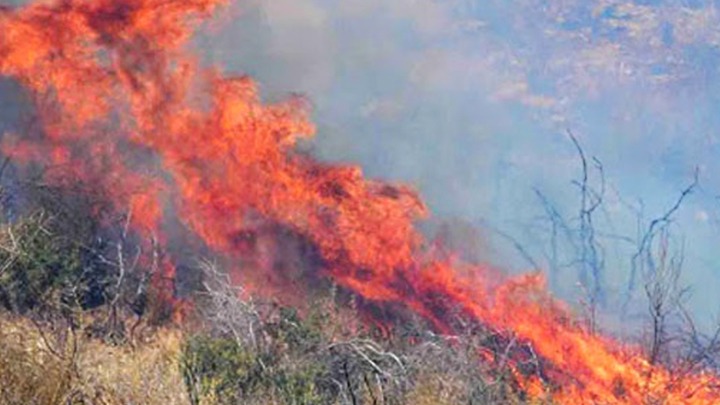 Ηλεία: Συνεχίζονται οι μάχες για τις αναζωπυρώσεις